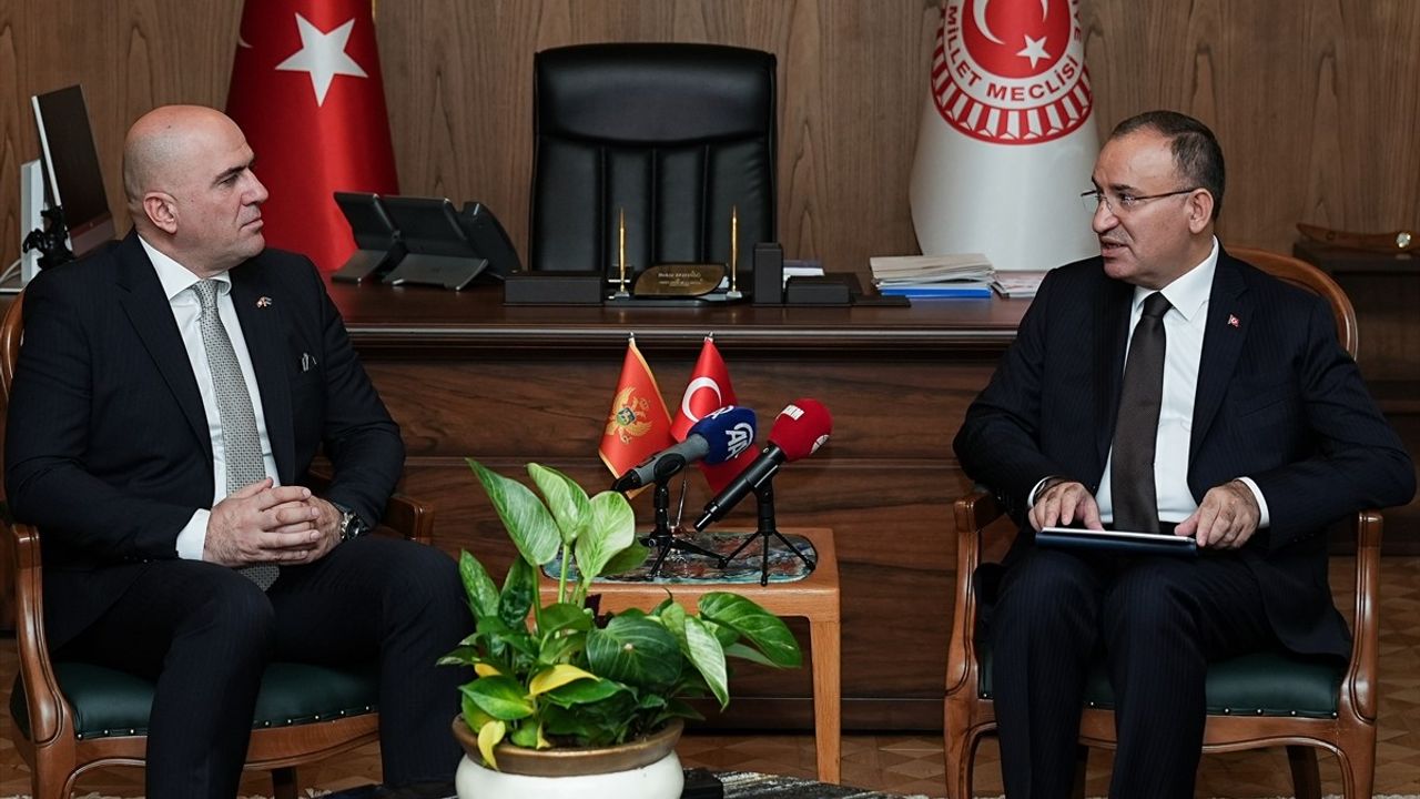 TBMM Başkanvekili Bozdağ ve Karadağlı Mevkidaşı Nurkovic'le Görüştü