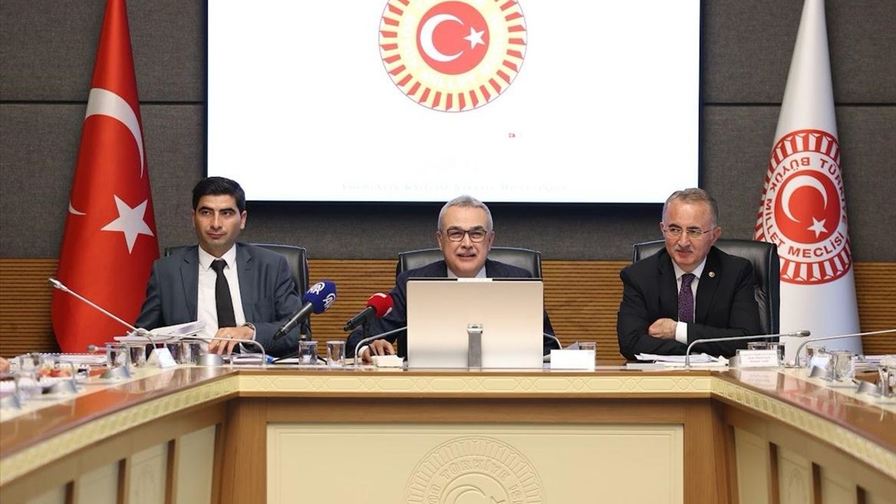 TBMM KİT Komisyonunda TEDAŞ'ın Hesapları Görüşüldü