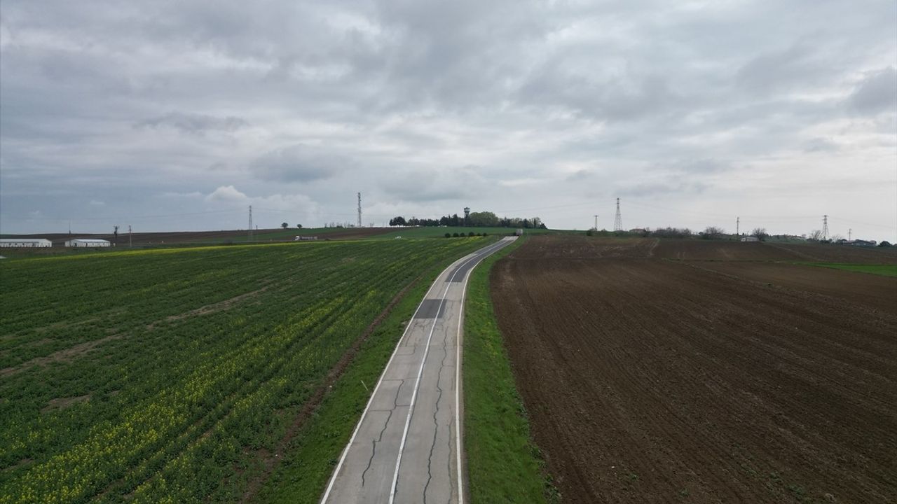 Tekirdağ'da Kuraklık Kanola Üreticisini Zora Soktu