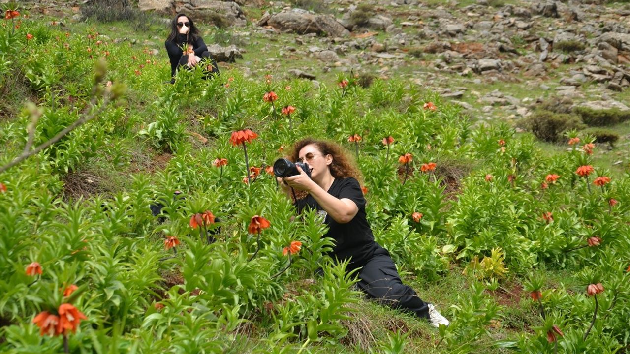 Trabzonlu Fotoğraf Tutkunlarından Ters Lale Ziyareti