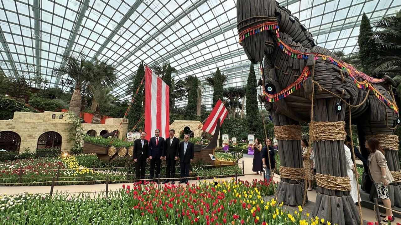 Tulipmania 2025 Lale Sergisi Singapur'da Açıldı