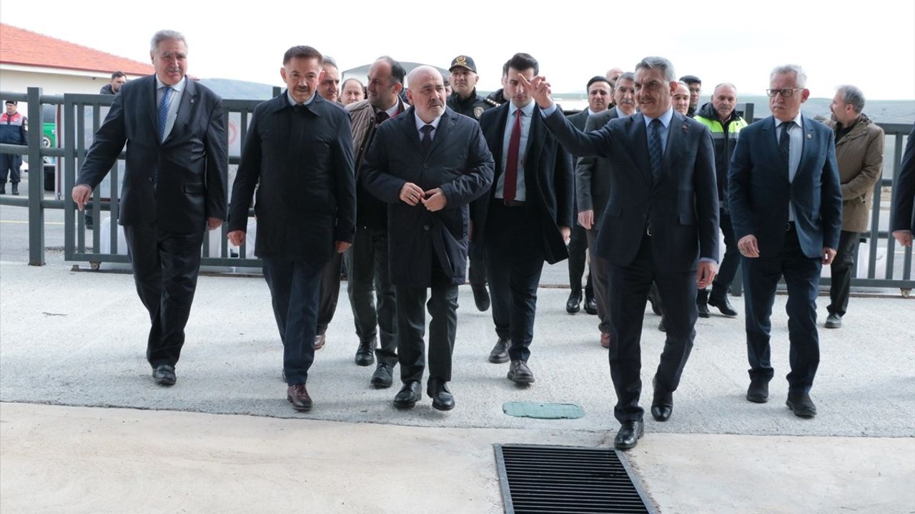 Yozgat'ta Sahipsiz Hayvanlar İçin Yeni Barınak Çalışmaları