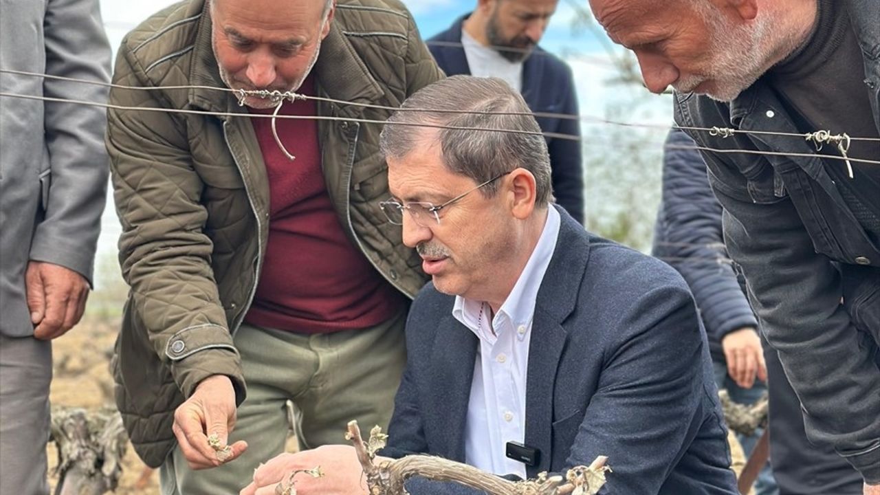 Zirai Dondan Etkilenen Köyleri Ziyaret Eden Milletvekili Arslan, Çiftçilere Destek Sözü Verdi