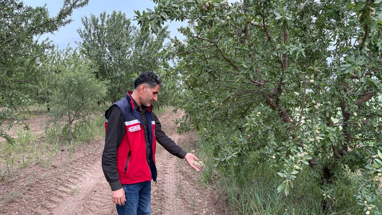 Adıyaman'da Dolu Tarım Alanlarını Vurdu