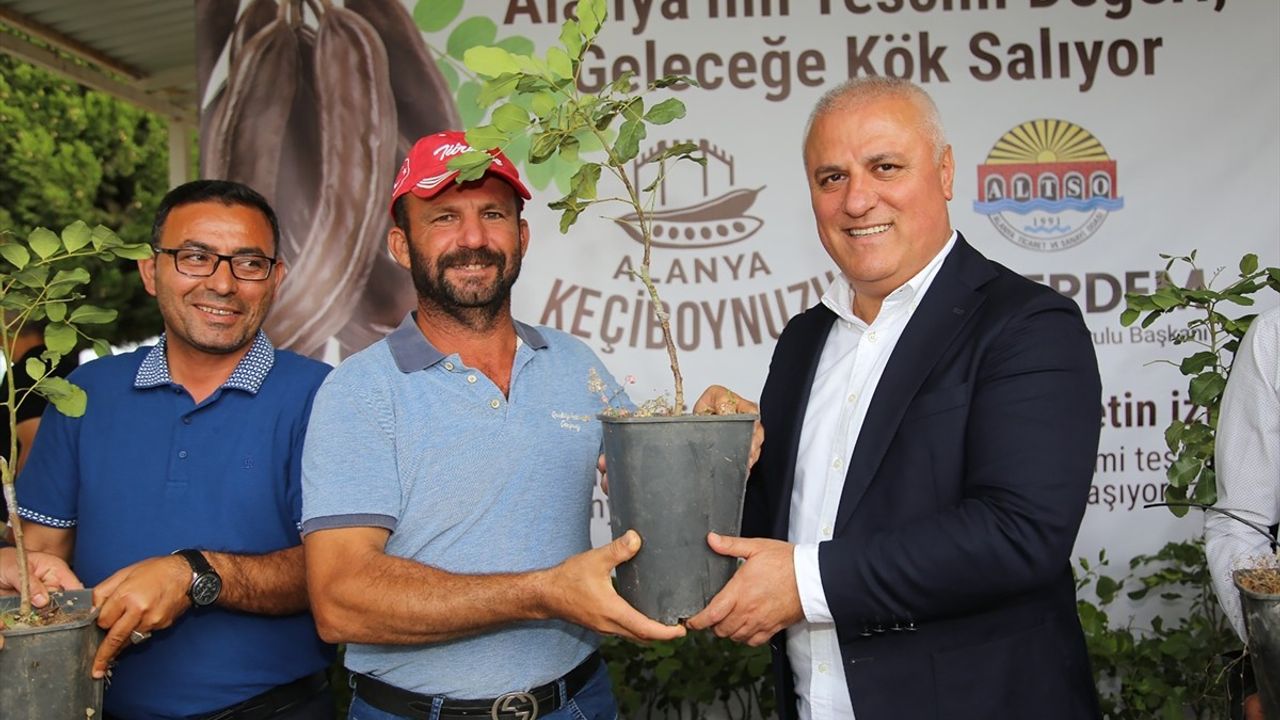 Alanya Keçiboynuzu Coğrafi İşaret Tescili Aldı