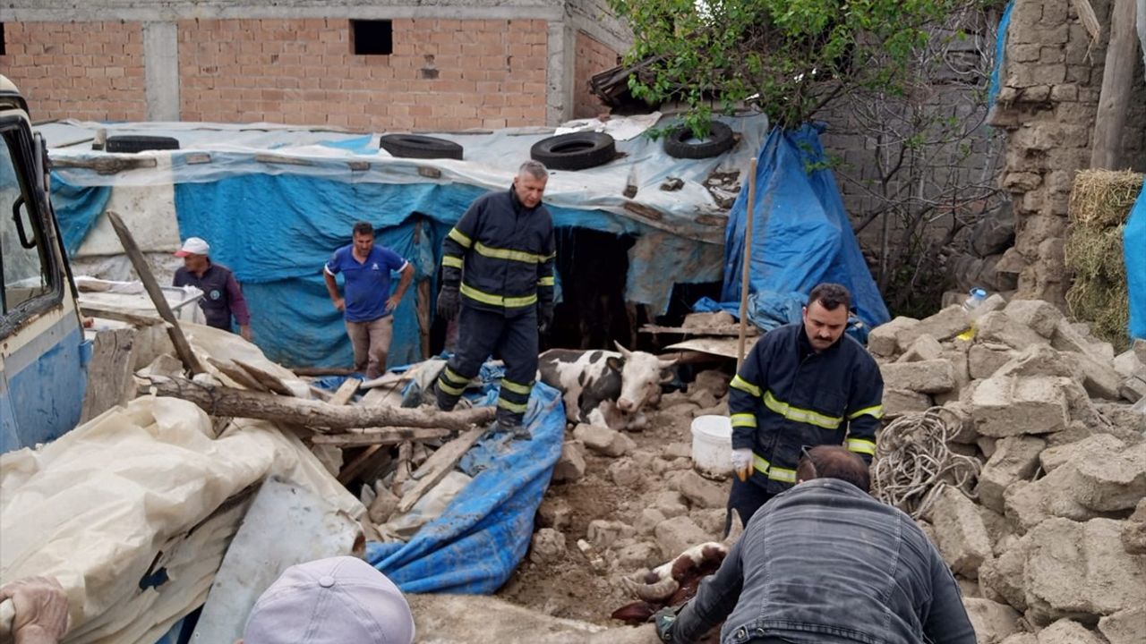 Amasya'da İtfaiye Ekipleri Çatısı Çöken Ahırdaki Hayvanları Kurtardı