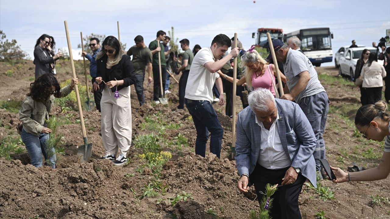 Ankara'da Şiddete Uğrayan Kadınlar İçin Fidan Dikimi Yapıldı