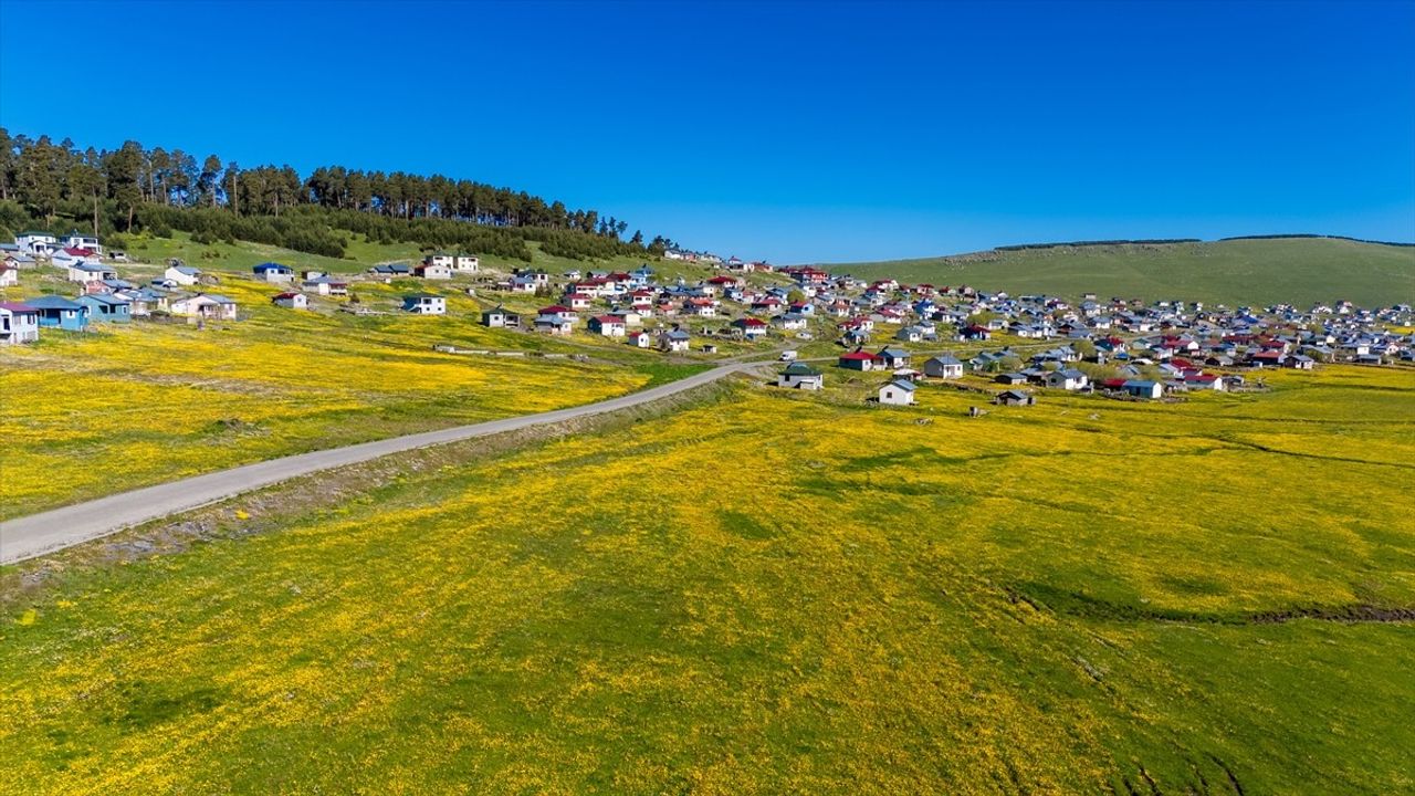 Ardahan'daki Menderesler İlkbahar Güzelliği ile Canlanıyor