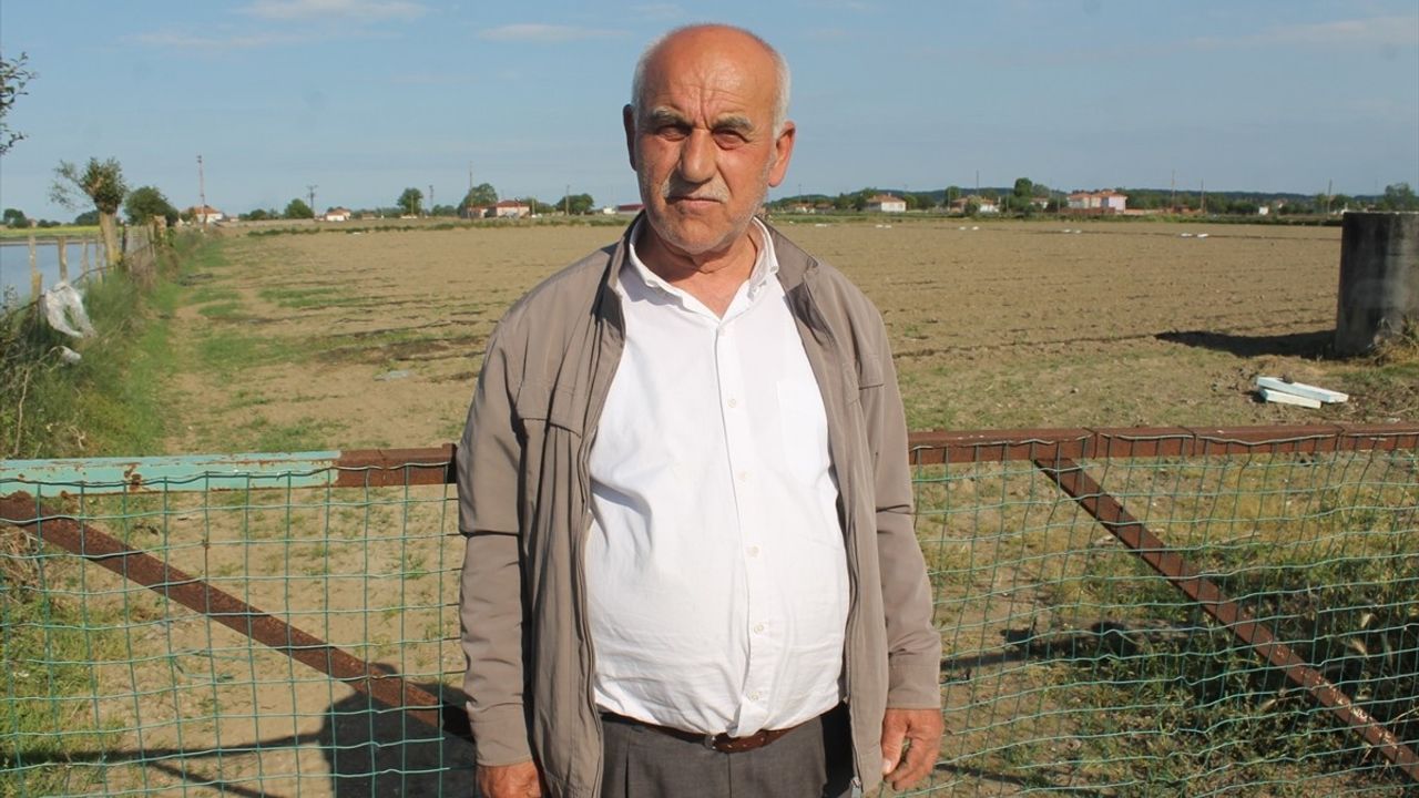 Bafra Ovası'nda Çeltik Üreticilerine Suyun Bilinçli Kullanımı Uyarısı