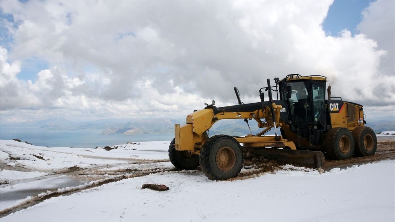 Bitlis'te Sahipsiz Hayvanlar için Önemli Toplantı Gerçekleşti