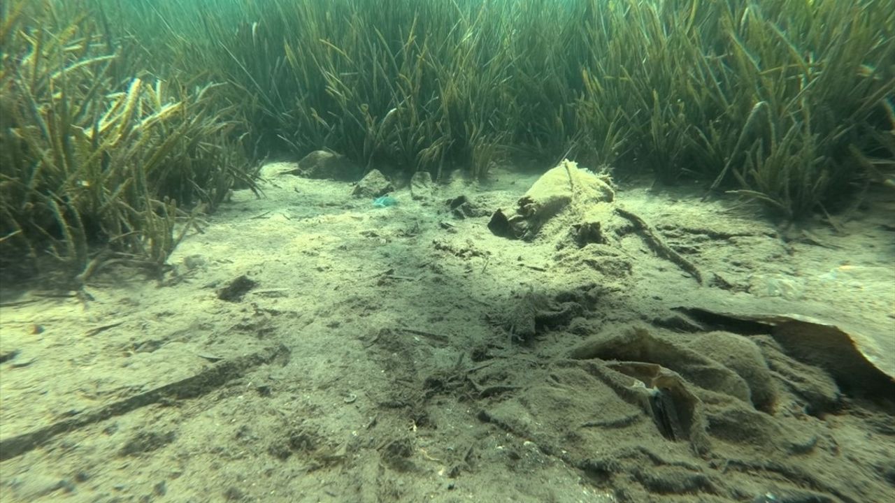 Bodrum'da Dalgıçlar 223 Kilogram Atık Topladı