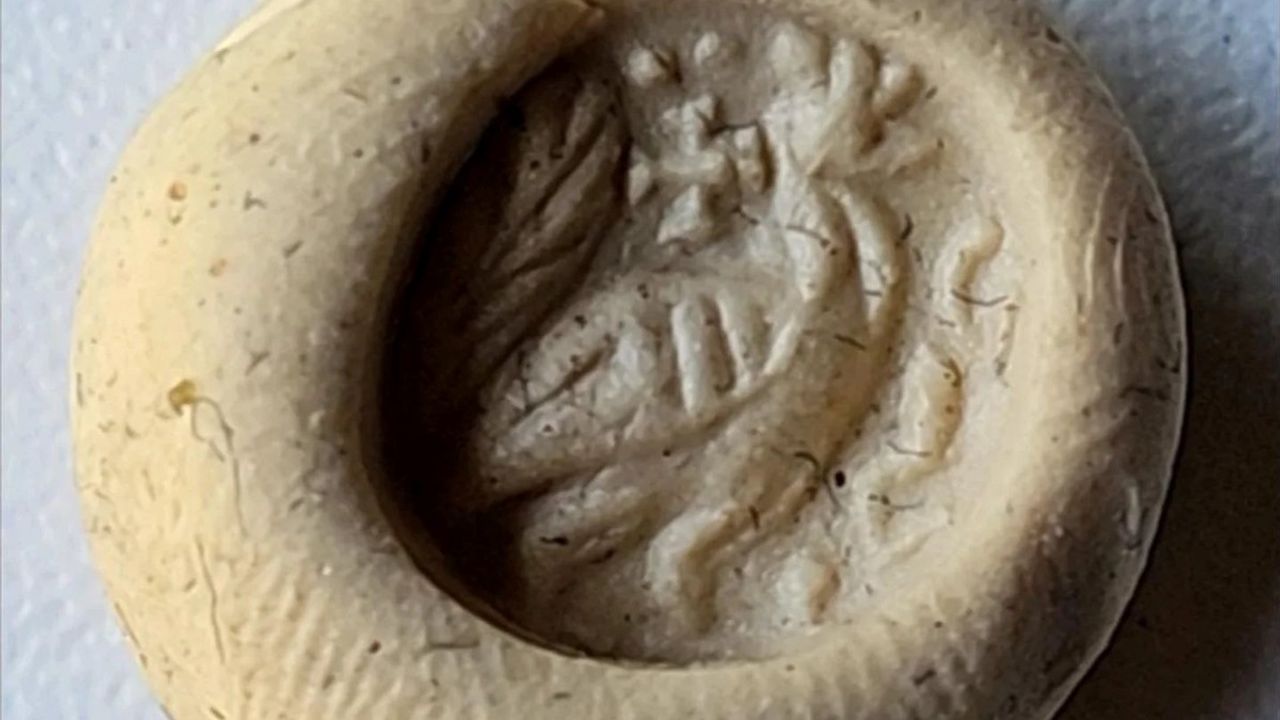 Çanakkale'de İki Kardeş Tarihi Yüzük Mührünü Troya Müzesi'ne Teslim Etti