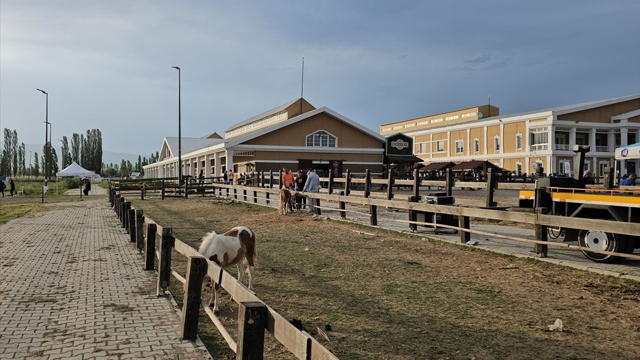 Çorum'da Uluslararası Atlı Dayanıklılık Yarışması Gerçekleşti