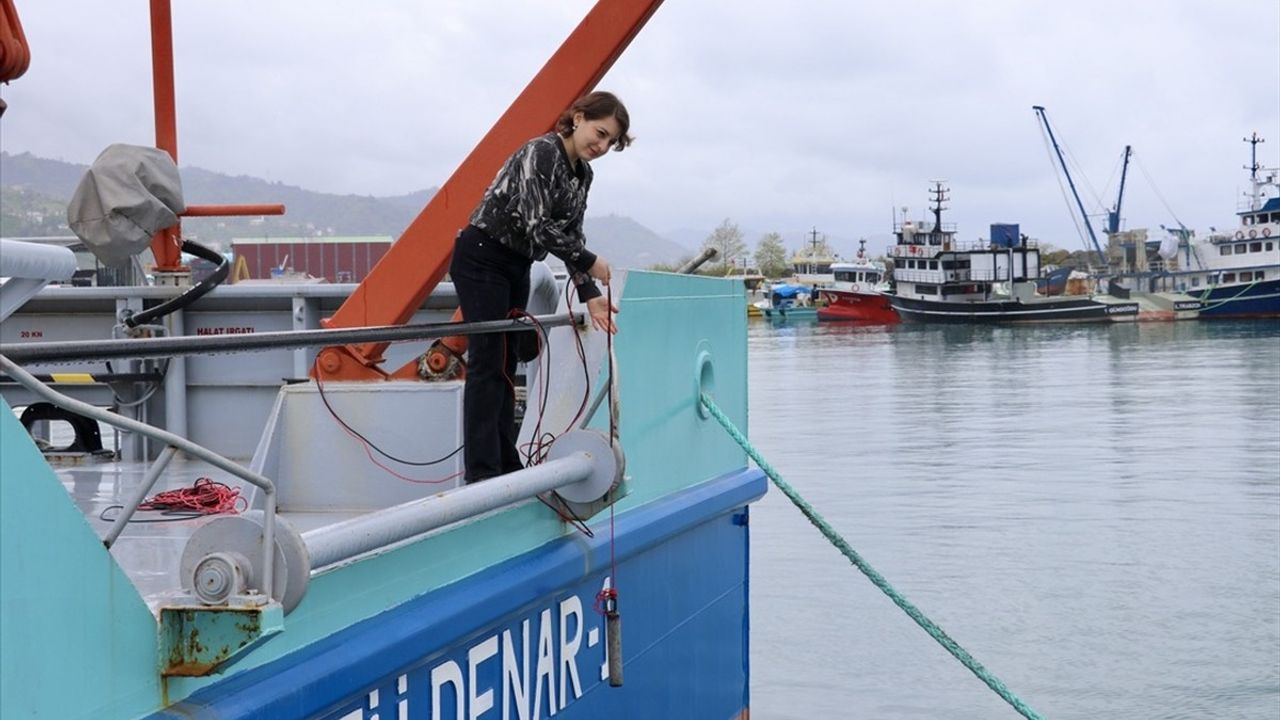 Doğu Karadeniz'deki Sualtı Gürültü Kirliliği Araştırmaları Başladı