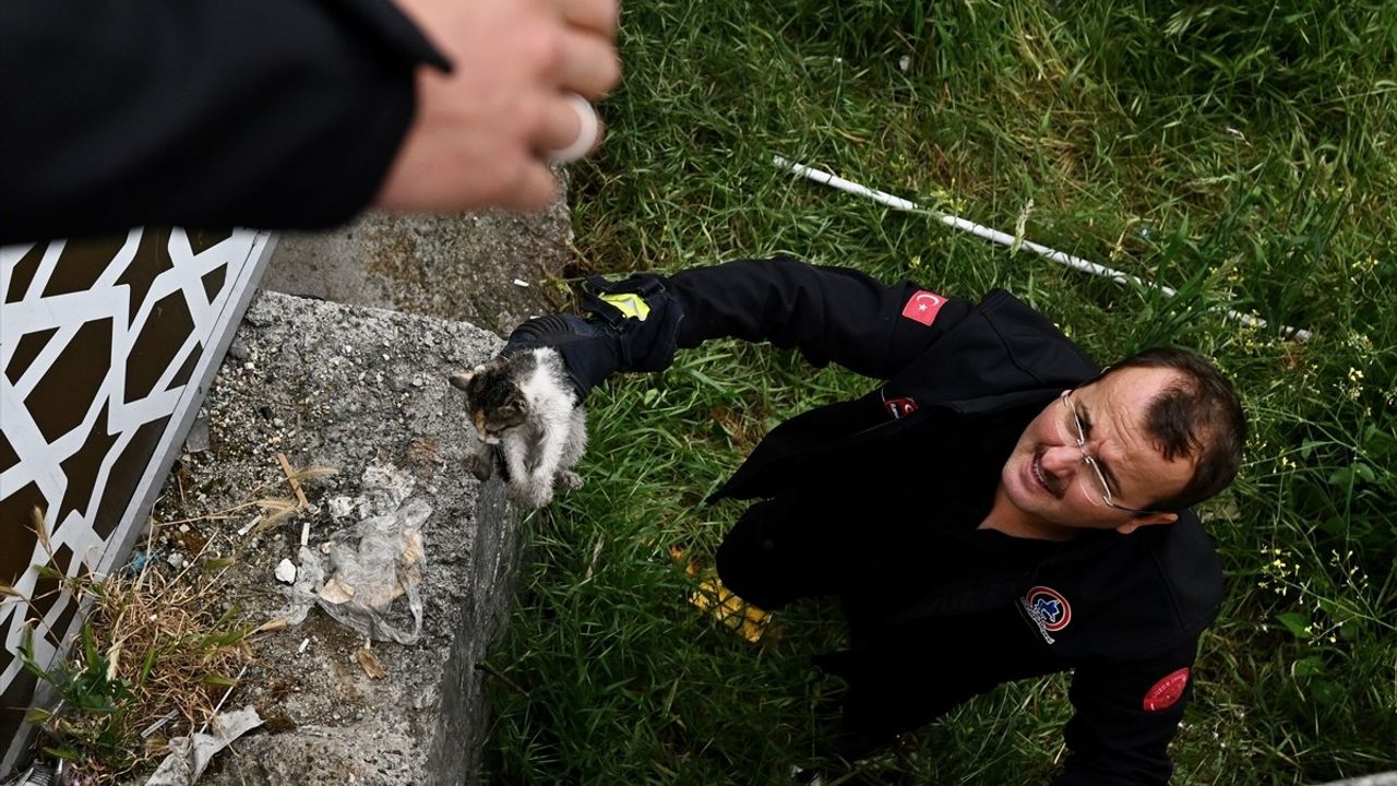 Düzce'de İtfaiye Ekipleri Tarafından Kurtarılan Kedi Yavrusu Taksici Tarafından Sahiplendi
