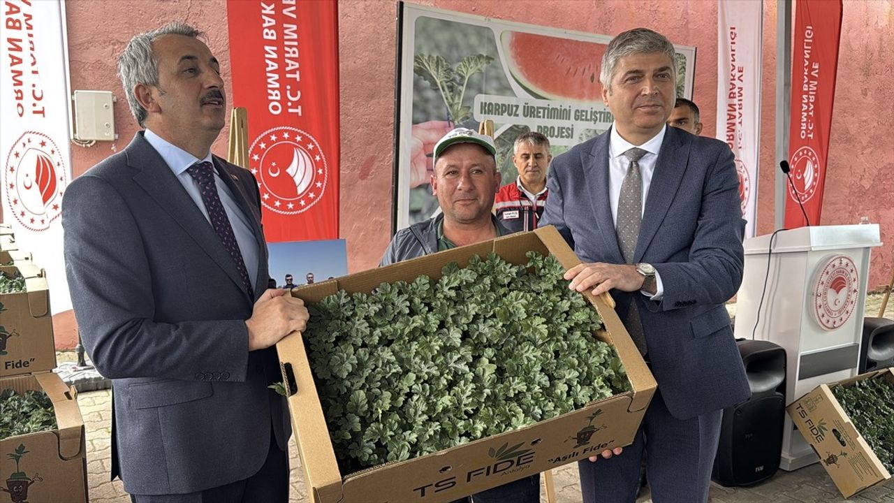 Edirne'de Çiftçilere Karpuz Fidesi Dağıtımı