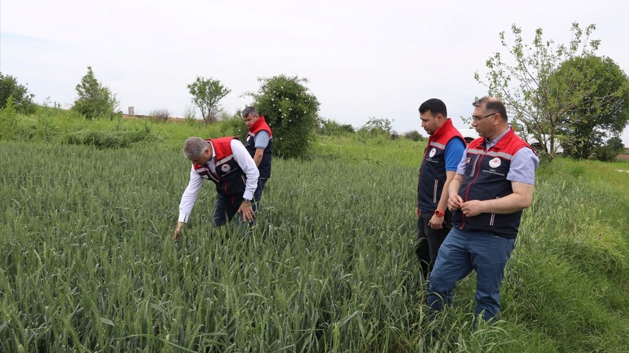 Edirne'de Dolu Zararları İçin Hasar Tespiti