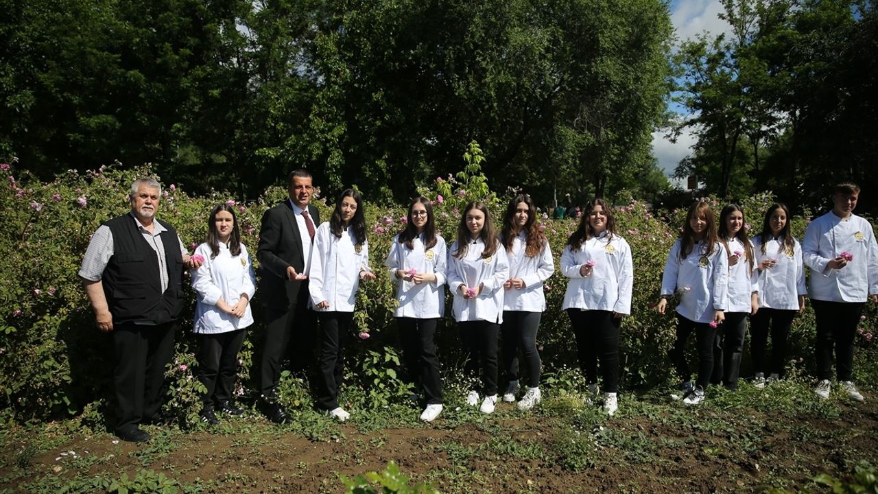 Edirne'de Güzel Gelenek: Gül Reçeli Yapılacak