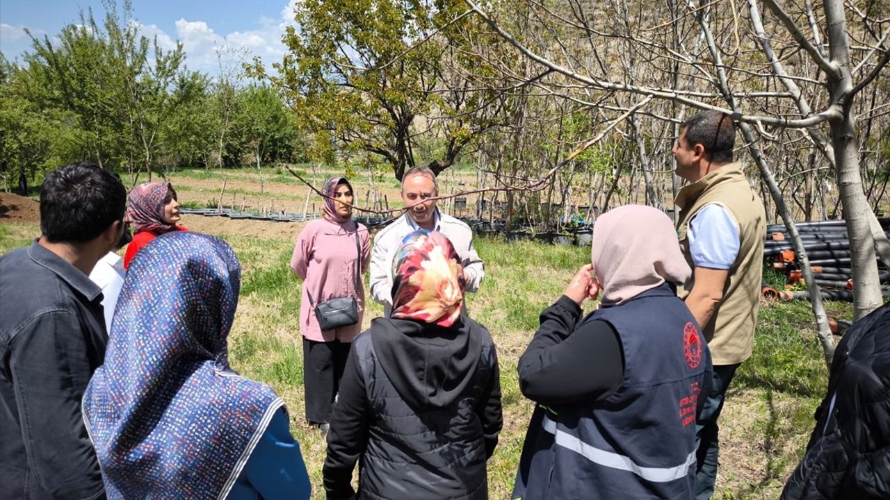 Erzincan'da Zirai Don Hasar Tespit Çalışmaları Başladı