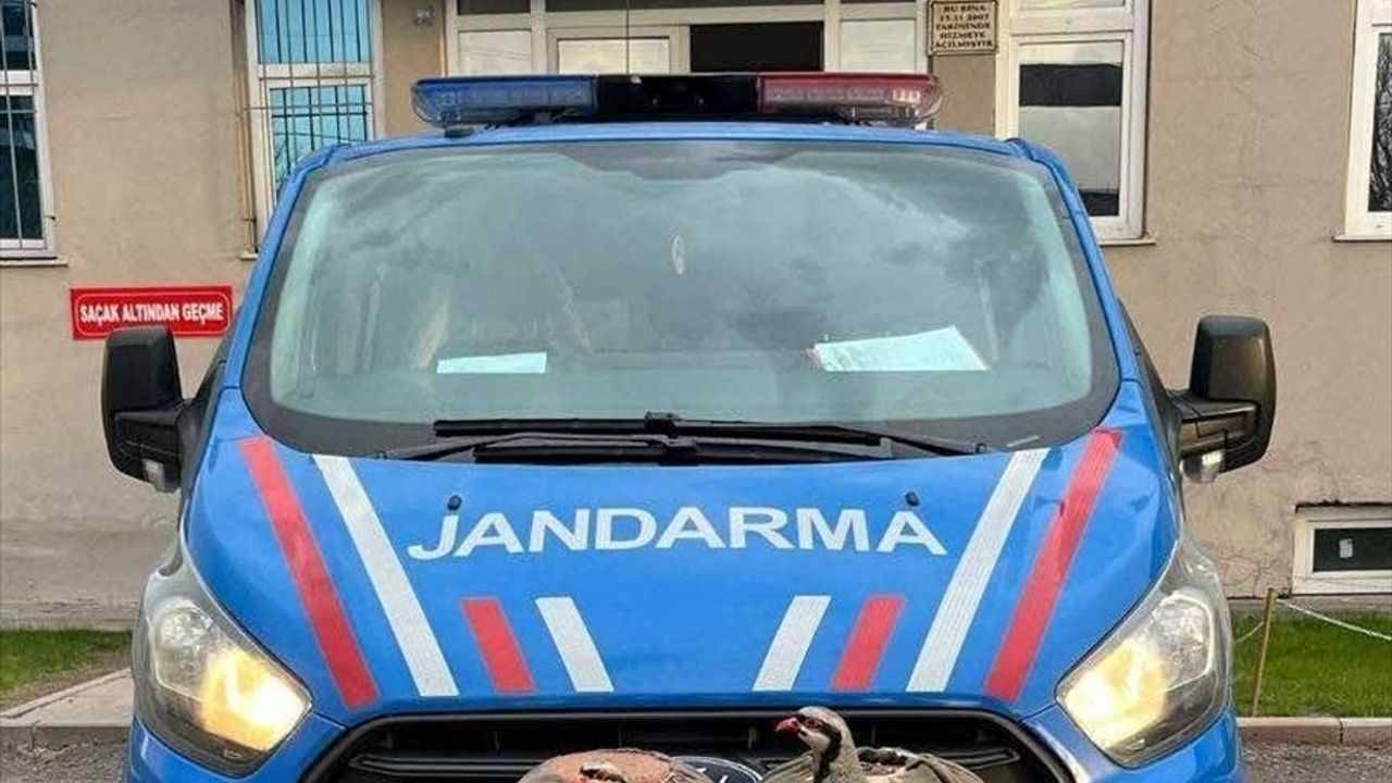 Erzurum'da Kaçak Avcılığa 13.500 Lira Ceza