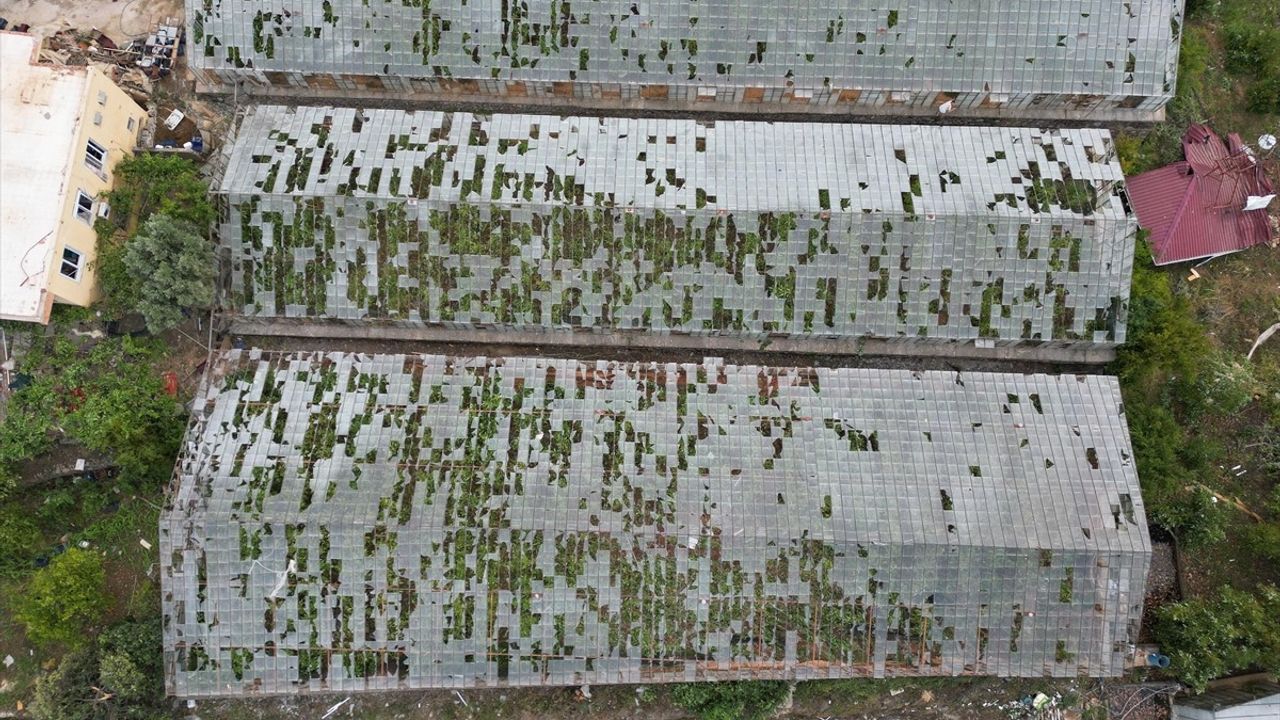 Gazipaşa'da Hortum Seralarda Zarar Yarattı