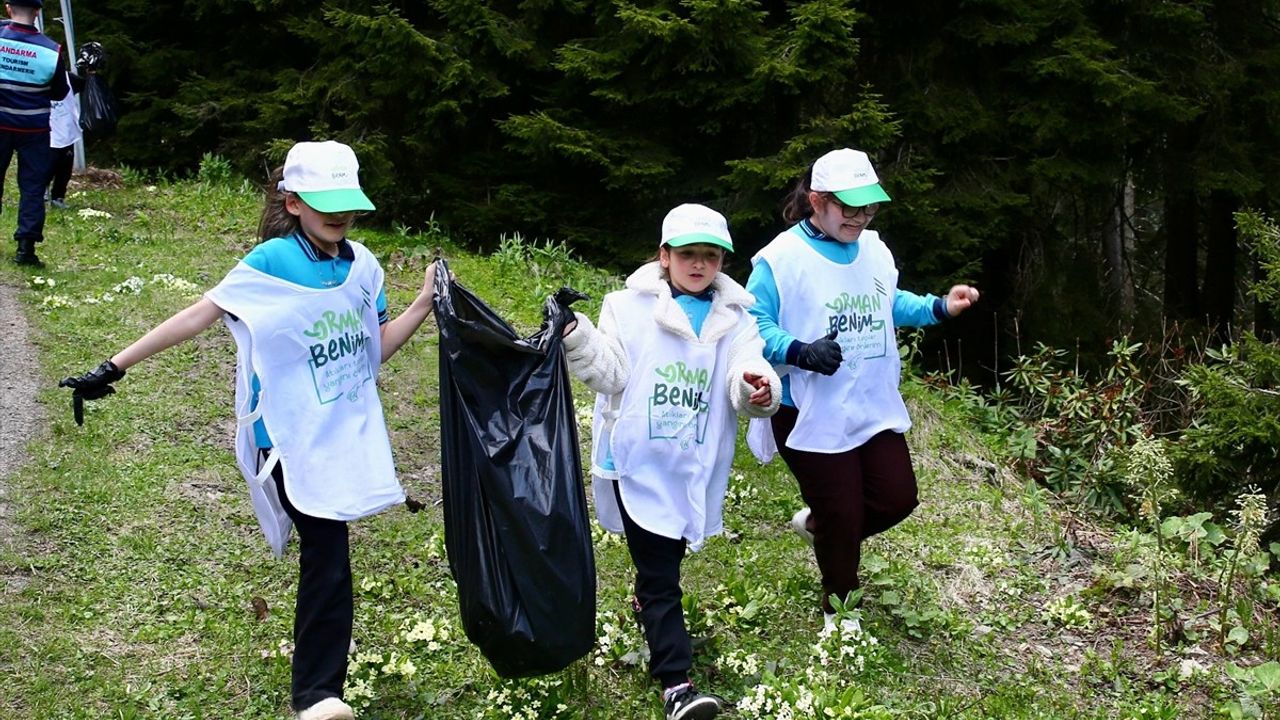 Giresun'da Çöp Toplama Etkinliği: Orman Benim