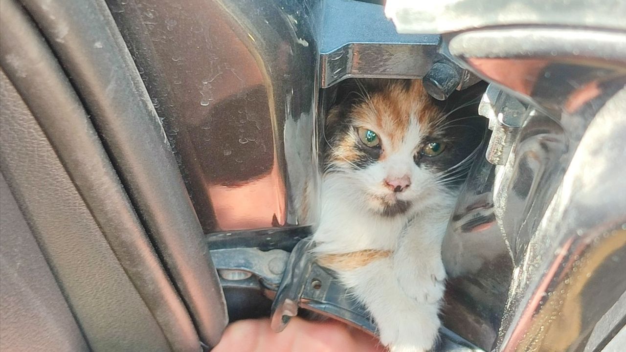 Hatay'da Sıkışan Kedi Yavrusuna İtfaiye Ellerinden Kurtuluş