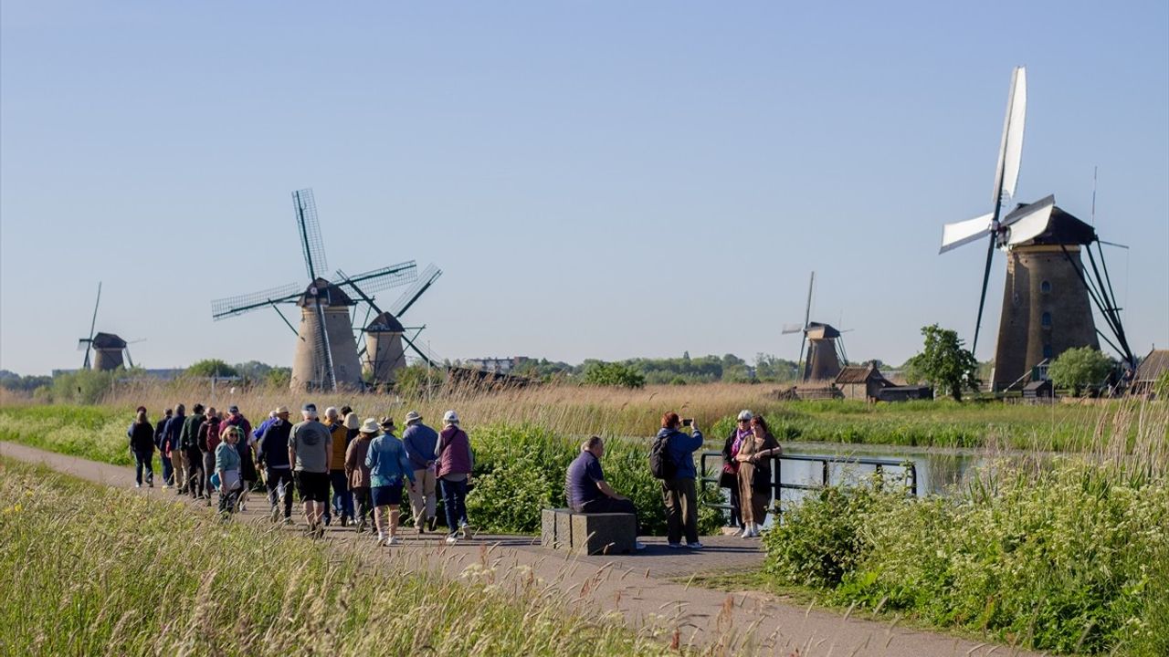 Hollanda'da Ulusal Değirmen Günü Coşkusu