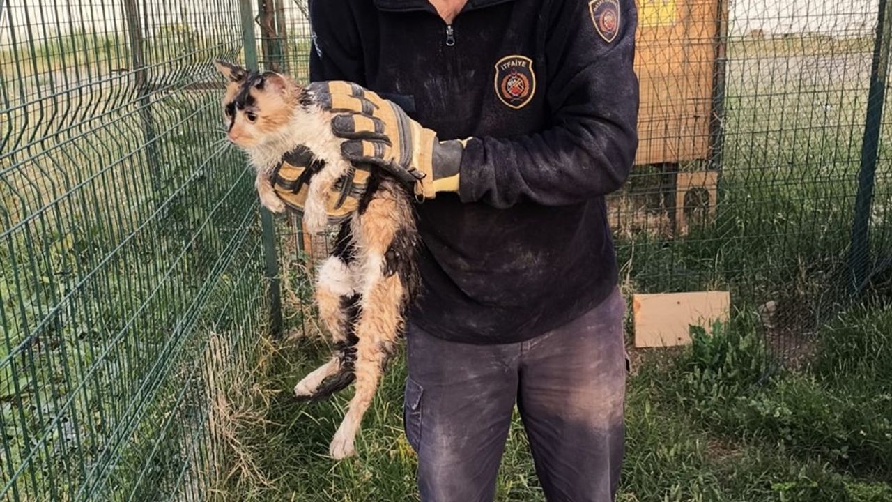 İskenderun'da Bina Boşluğuna Düşen Kedi Kurtarıldı