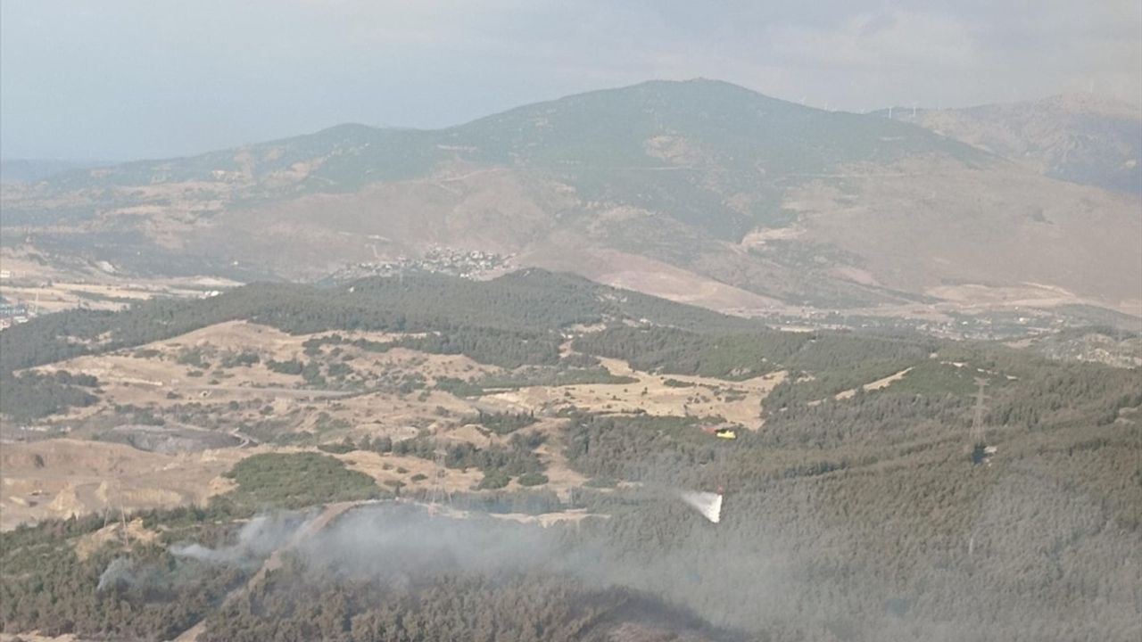 İzmir Aliağa'da Orman Yangınına Etkili Müdahele