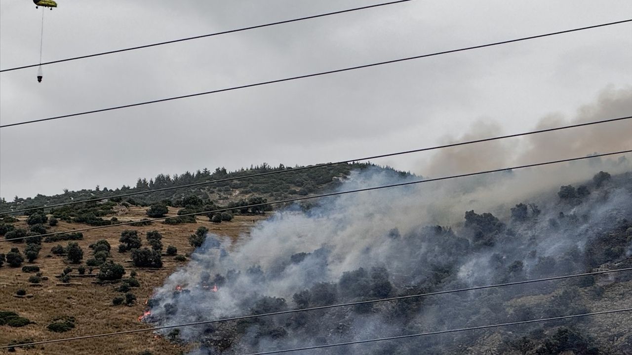 İzmir'de Zeytinlik Yangını Kontrol Altına Alındı