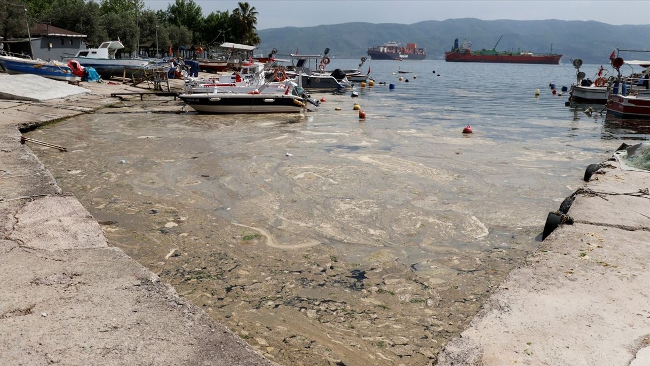 İzmit Körfezi'nde Köpük Temizleme Çalışmaları Başlatıldı