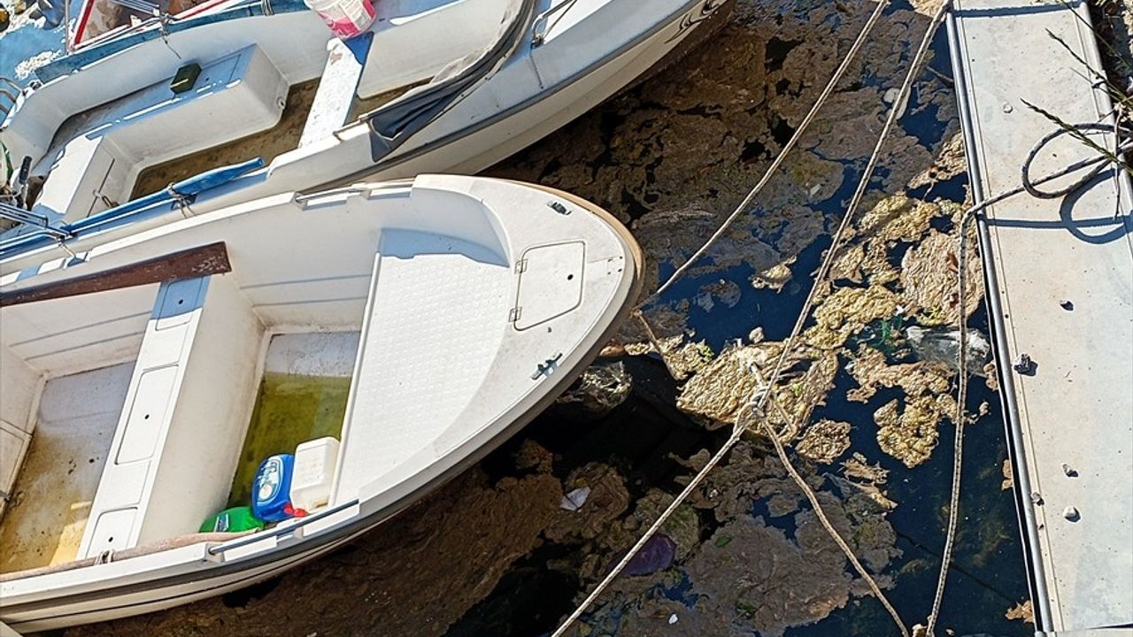 Karamürsel'de Denizde Köpüklü Tabaka Oluştu