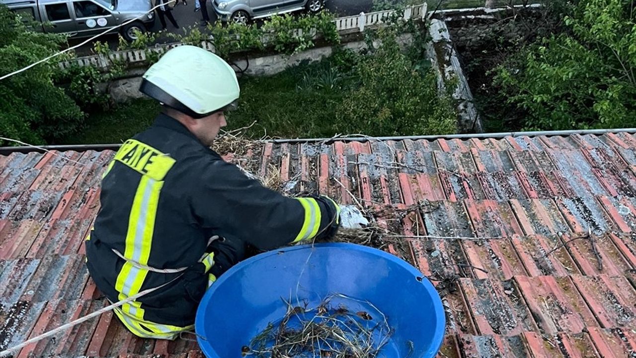 Kastamonu'da Leylek Yuvası Yeniden Yapıldı