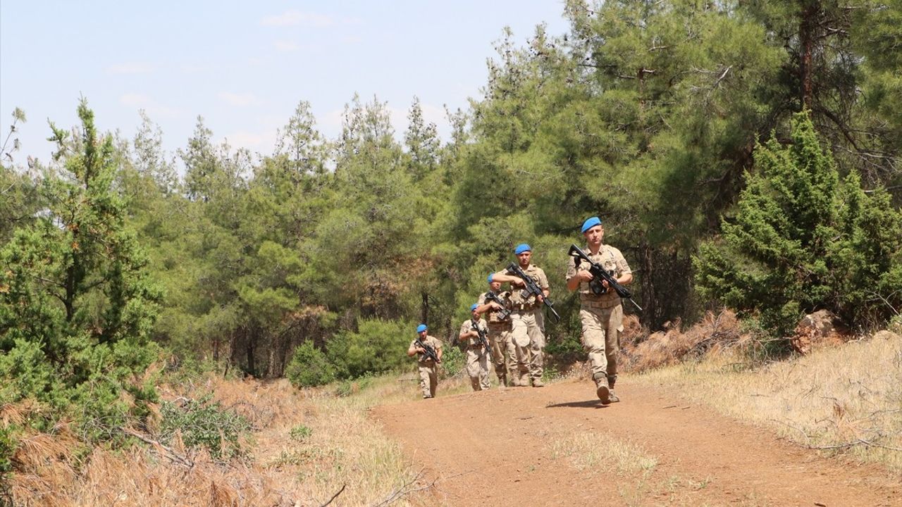 Kilis'te Orman Yangınlarına Karşı Denetim Çalışmaları