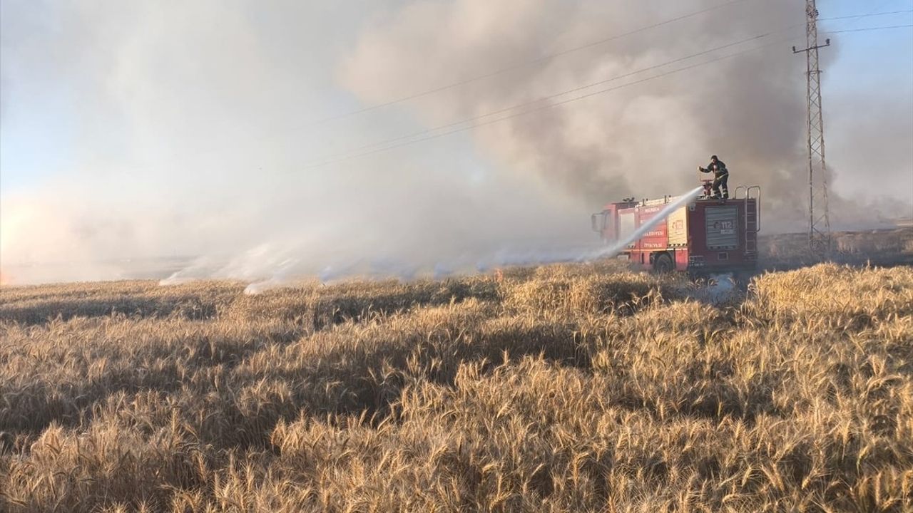 Mardin'deki Yangınlar Buğday Alanlarını Vurdu