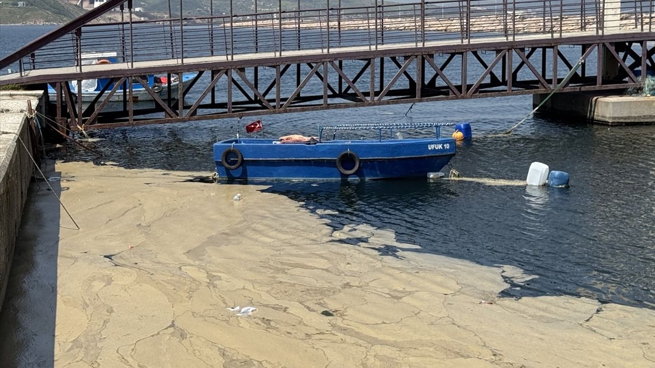 Marmara Denizi'nde Müsilaj Sorunu ve Çözüm Önerileri