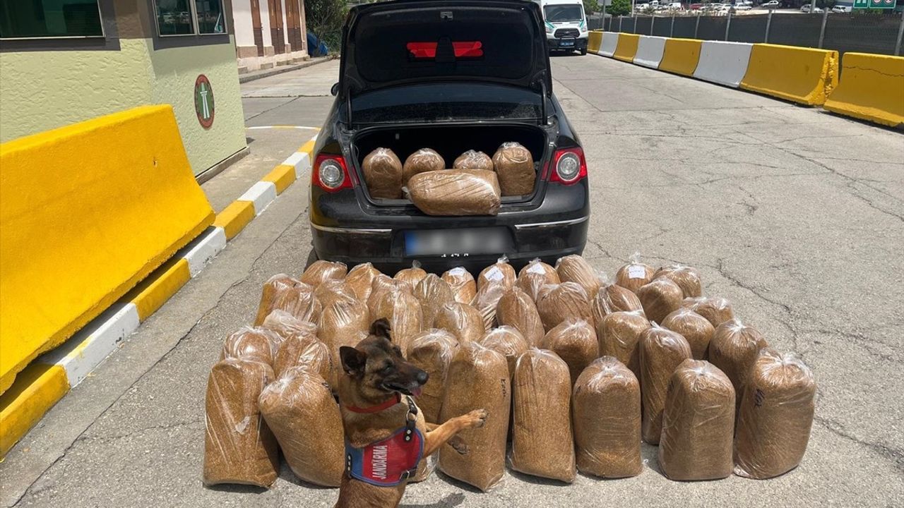 Mersin'de Kaçak Tütün Operasyonu: 292 Bin Makaron Ele Geçirildi