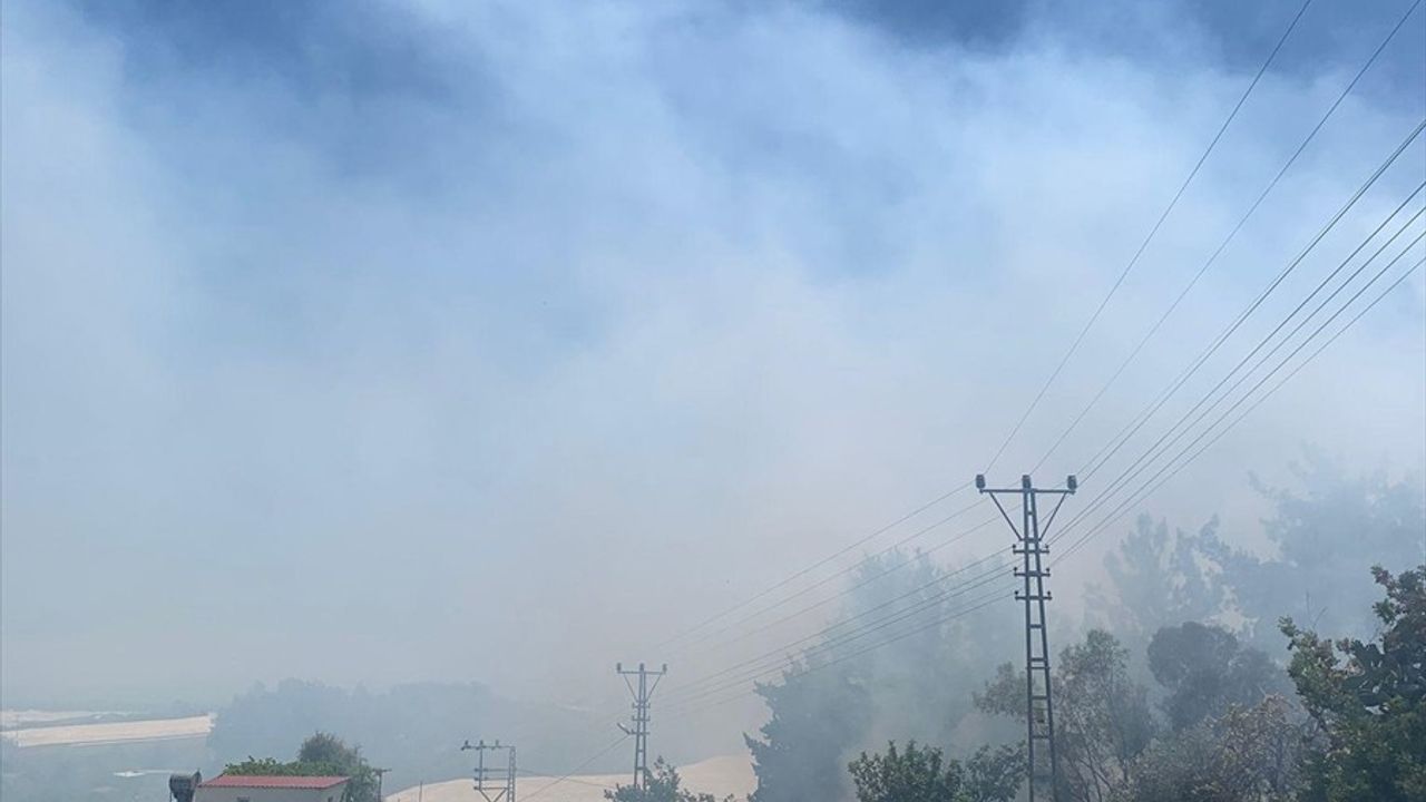 Mersin'de Zirai Yangın Kontrol Altına Alındı