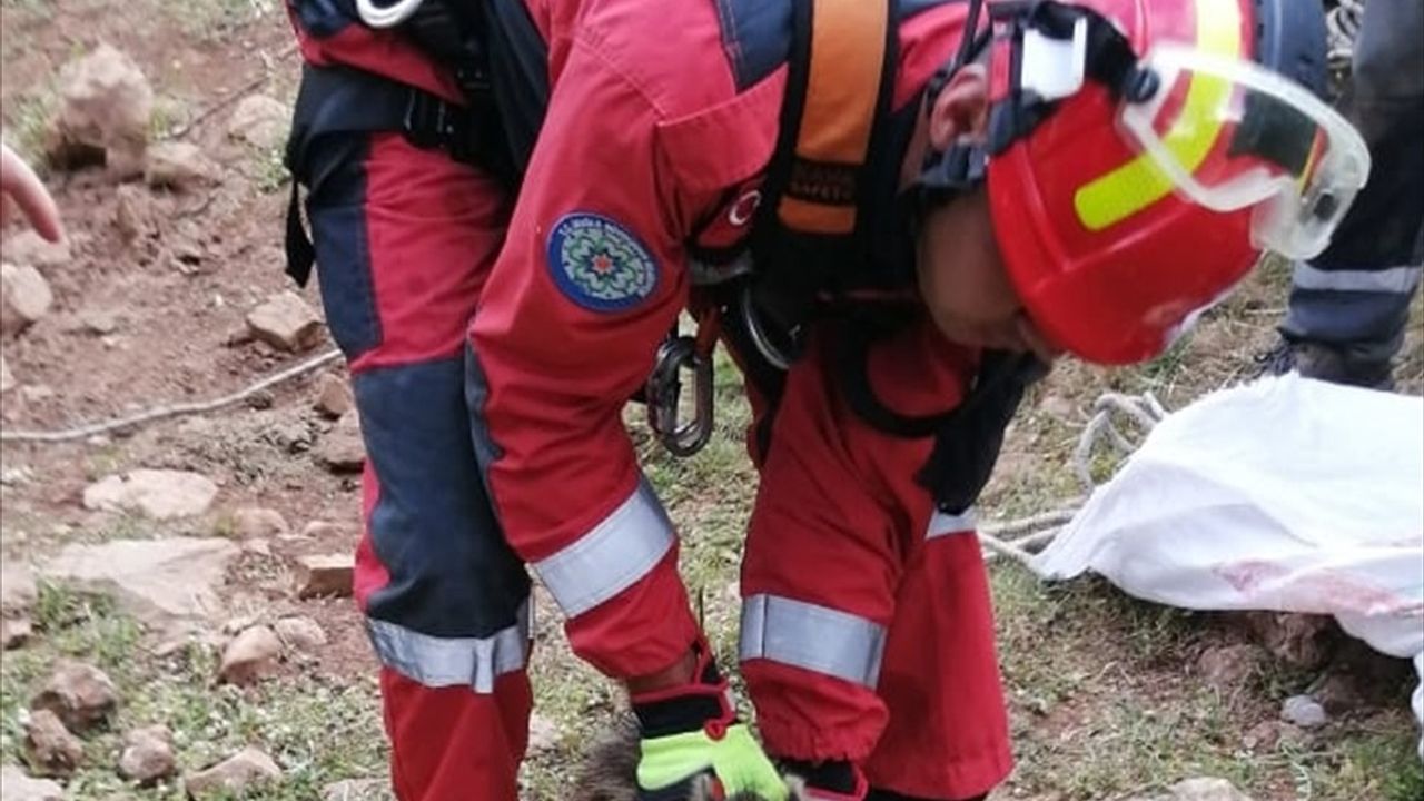 Muğla'da Hayvan Kurtarma Operasyonu