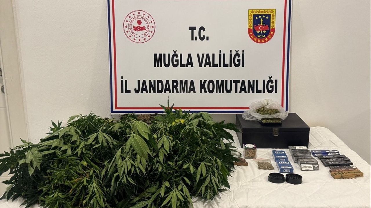 Muğla'da Uyuşturucu Operasyonu: İki Zanlı Gözaltında
