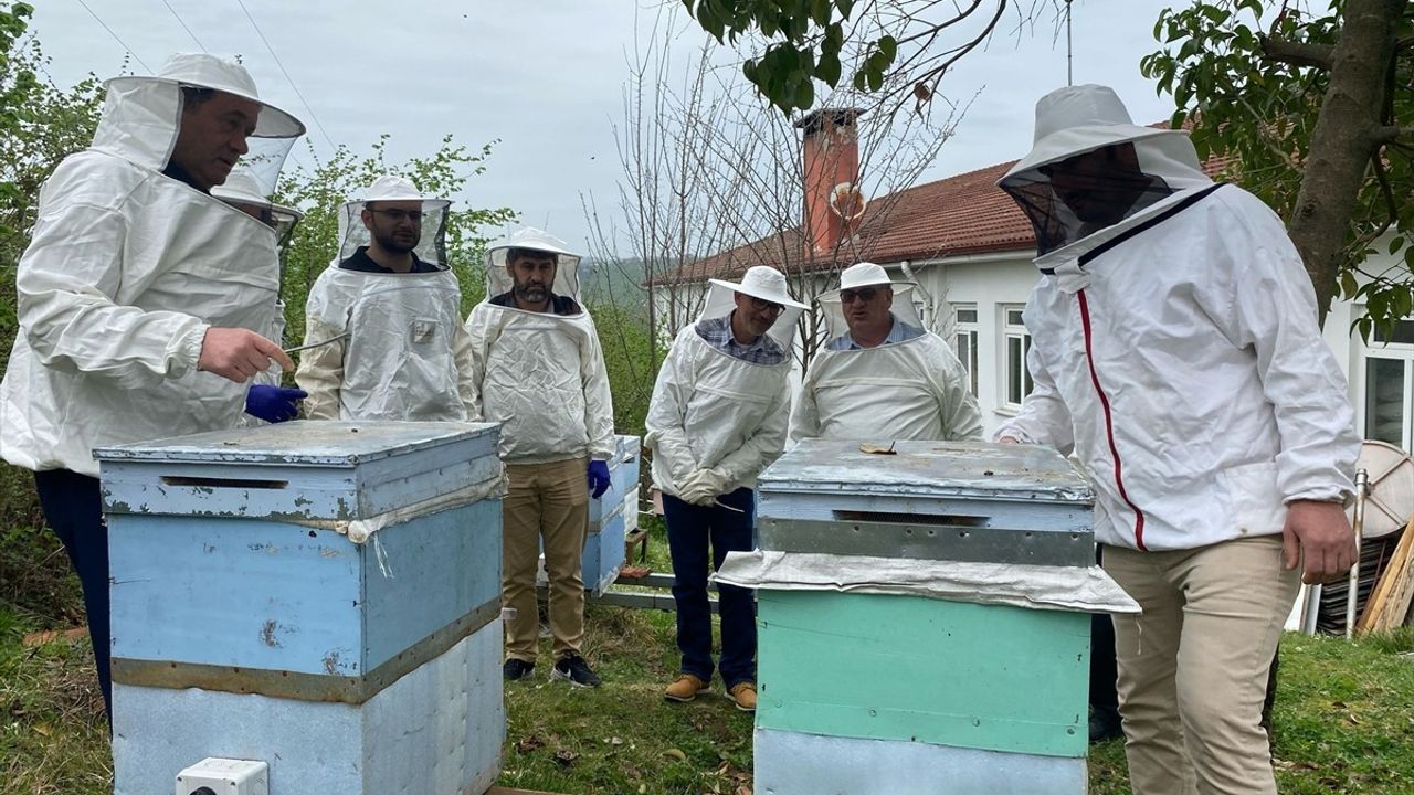 Ordu'da 30 Ülkeden Gelen Arıcılara Eğitim Verildi