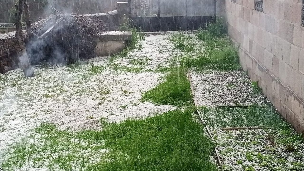 Posof'ta Dolu ve Sağanak Yağışlar Etkili Oldu