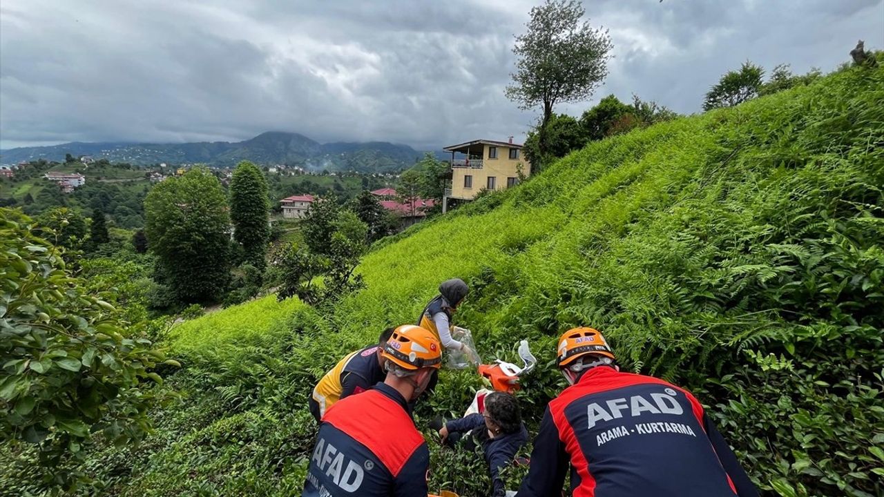 Rize'de Çay Bahçesinde Düşme Olayı