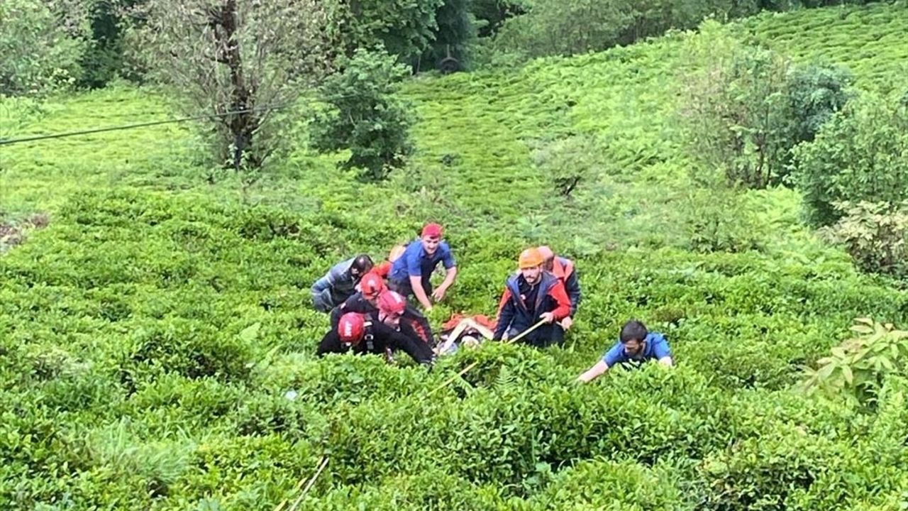 Rize'de Dereye Düşen Balıkçı Ekipler Tarafından Kurtarıldı