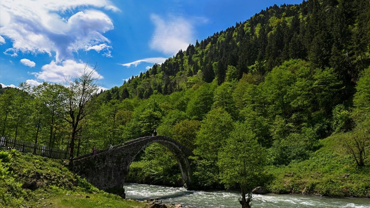 Rize'nin Doğal Güzellikleri ve Turizm Potansiyeli