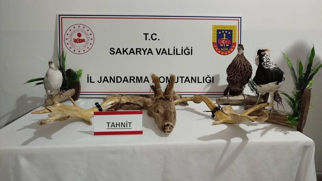 Sakarya'da Hayvan Kaçakçılığına Geçit Yok