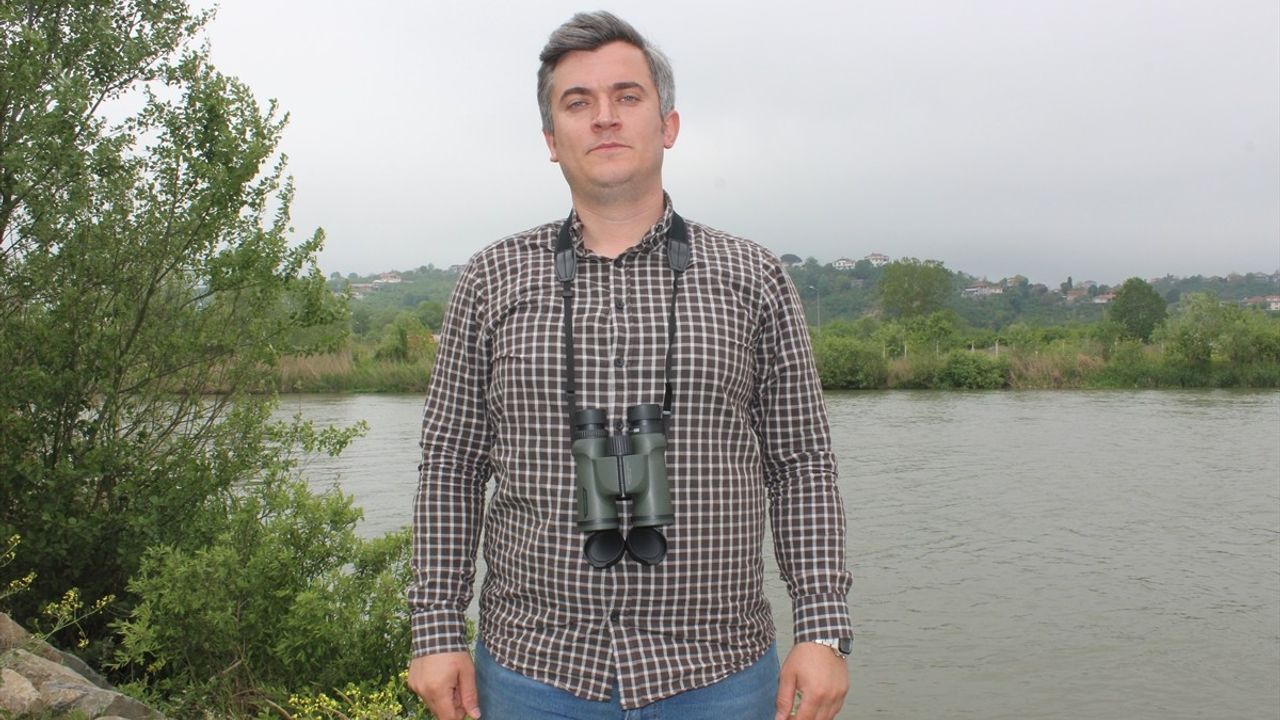 Sakarya'da Su Samuru Fotokapanla Görüntülendi