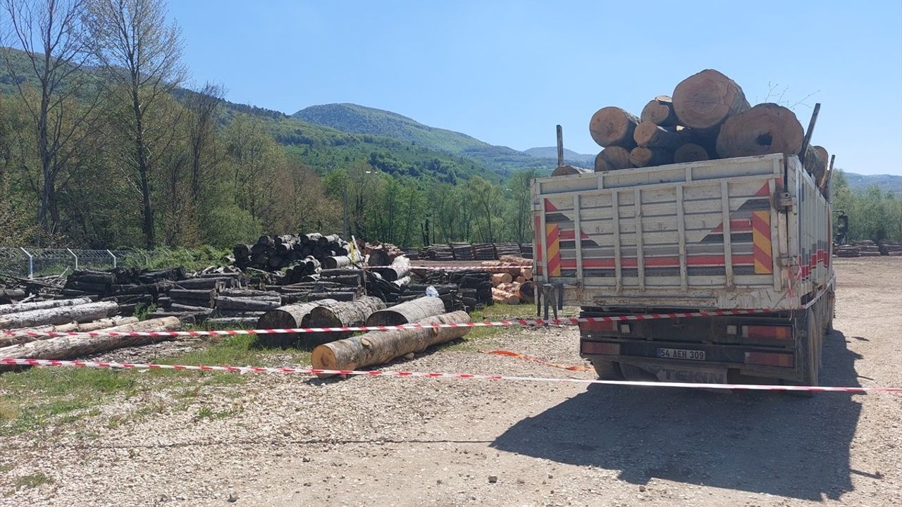 Sakarya'da Tomruk Kazası: Bir İşçi Hayatını Kaybetti