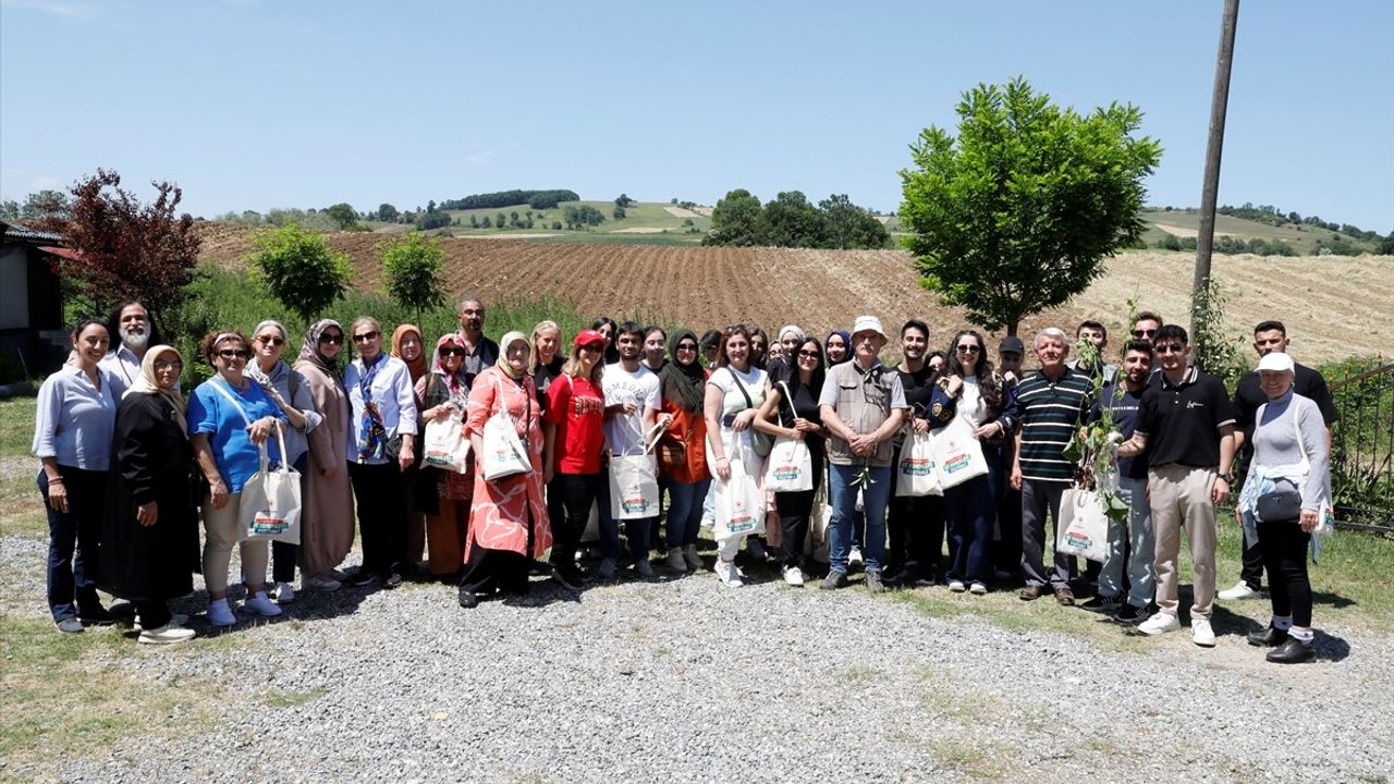 Samsun'da 8. Yöresel Ot Yemekleri Festivali Başladı